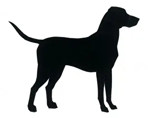 Oakley Prints: Silhouette of a large dog standing still