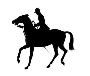 Silhouette of a racehorse and jockey