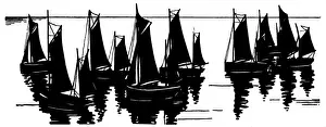 Silhouette of sailing boats on the water