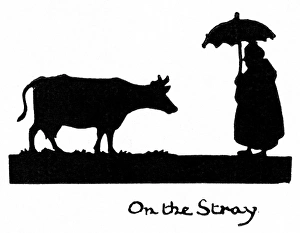 Stray Gallery: Silhouette, On the Stray