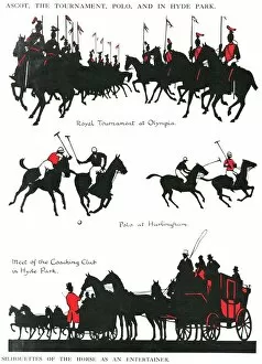 Pennants Collection: Silhouettes of the horse as an entertainer