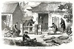 Cocoons Prints: Silk culture in China 1857