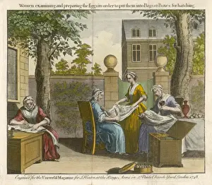 Examine Prints: Silk Processing