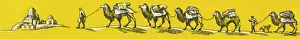 Turkmenistan Prints: The Silk Road - Camel Train in Soviet Central Asia