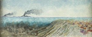 Anthozoa Gallery: Silurian mud-flows
