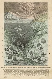 Silurian Prints: Silurian Scene