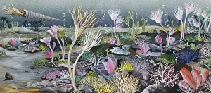 Echinodermata Prints: Silurian seascape