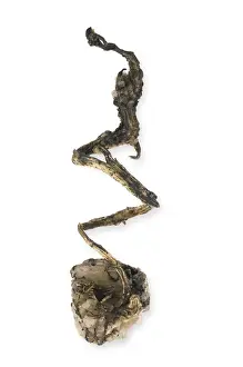 Carbonate Prints: Silver wire