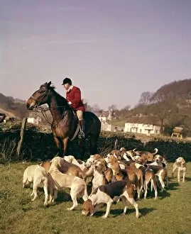 Images Dated 3rd November 2016: Silverton Foxhounds and huntsman, Devon