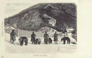 Sinaia, Romania - Bears and handlers