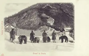 Handlers Prints: Sinaia, Romania - Bears and handlers