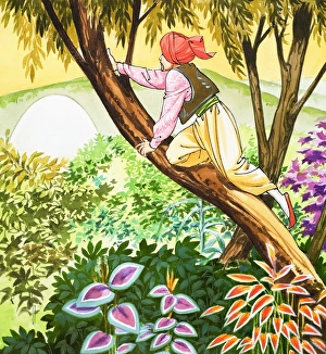 Images Dated 23rd October 2006: Sinbad the Sailor