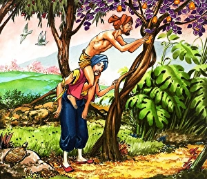 Images Dated 1st November 2006: Sinbad the Sailor