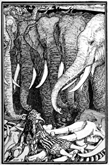 Stranded Prints: Sinbad Stranded