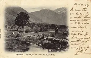 Pastoral Prints: Sindh Valley, Srinagar, Kashmir, India