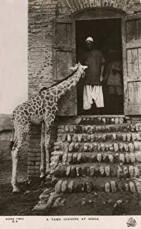 Singa Gallery of Photo Prints and Gifts