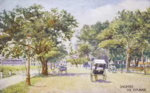 Lampost Prints: Singapore - The Esplade