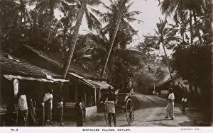 Rickshaw Collection: Sinhalese village, Ceylon (Sri Lanka)
