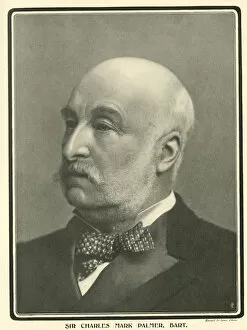 Sir Charles Mark Palmer, mining industry, Jarrow
