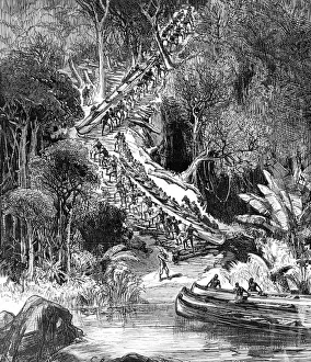 Hauling Prints: Sir Henry Morton Stanley and his followers hauling canoes up