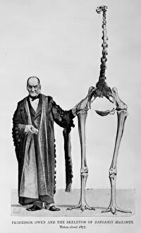 Anatomist Gallery: Sir Richard Owen (1804-1892)