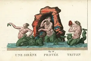 Triton Prints: Siren, Proteus and Triton, Greek sea gods
