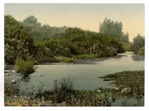 Site of Dan and source of the Jordan, Tel-el-Kadi, Holy Land