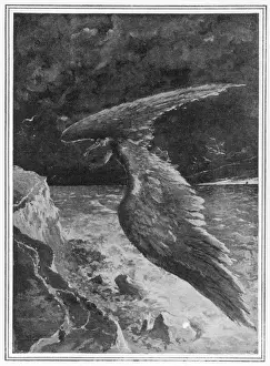 Size of Wings Needed