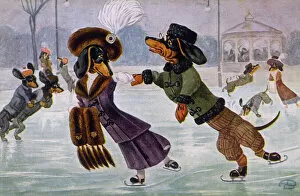 Gentleman Collection: Skating Dachshunds