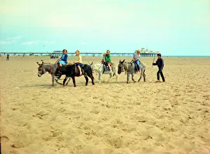 Skegness Prints: Skegness - Donkeys on the sands