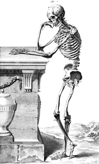Skeleton from the Side