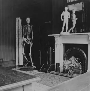 Skeleton in classroom