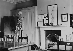 Perkins Prints: Skeleton - Perkins - in anatomy room