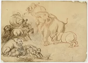 Elephantoidea Collection: Sketch by Benjamin Waterhouse Hawkins