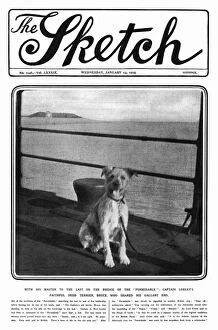 Sketch cover, Captain Loxleys faithful dog, WW1