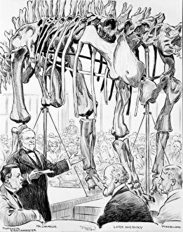 Andrew Carnegie Gallery: Sketch of Diplodocus presentation