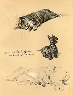 Sketches by Cecil Aldin, Just Among Friends