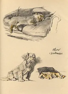 Sketches by Cecil Aldin, Just Among Friends