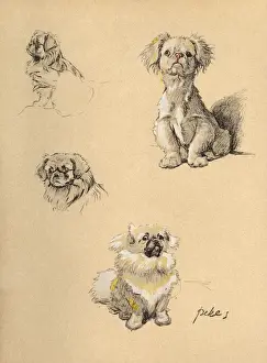 Sketches by Cecil Aldin, Just Among Friends