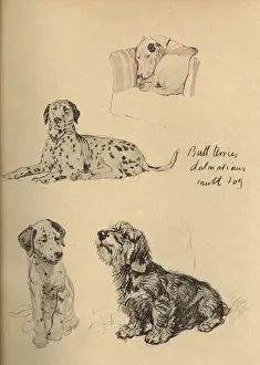 Sketches by Cecil Aldin, Just Among Friends