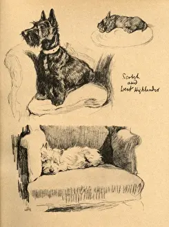 Sketches by Cecil Aldin, Just Among Friends
