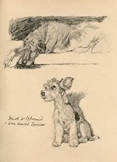 Sketches by Cecil Aldin, Just Among Friends