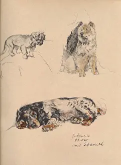 Sketches by Cecil Aldin, Just Among Friends