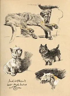 Sketches by Cecil Aldin, Just Among Friends