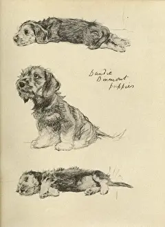 Puppies Prints: Sketches by Cecil Aldin, Just Among Friends