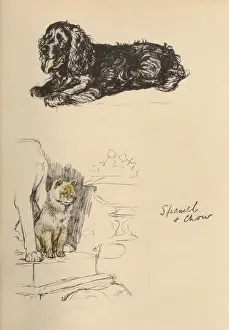 Sketches by Cecil Aldin, Just Among Friends