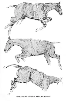 Sketches by Cecil Aldin, Time I Was Dead