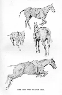 Sketches by Cecil Aldin, Time I Was Dead