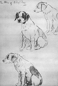 Sketches by Cecil Aldin, Time I Was Dead