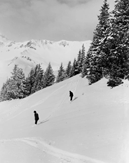 Images Dated 25th July 2011: SKI SLOPES